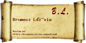 Brumecz Lívia névjegykártya